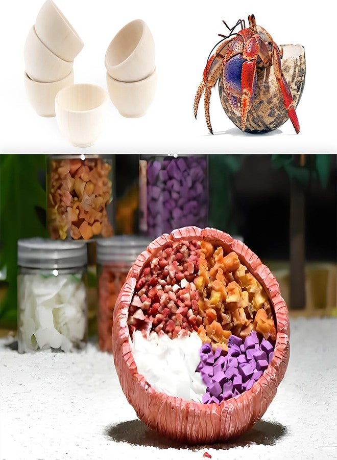 DQITJ 6 Pcs Hermit Crab Food Bowl Small Wooden Feeding Dish for Hermit Crab Snail Millipede Insect - Image 2